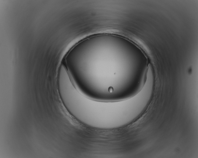 X0000089461332200707061255