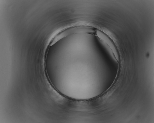 X0000089461334200707061255