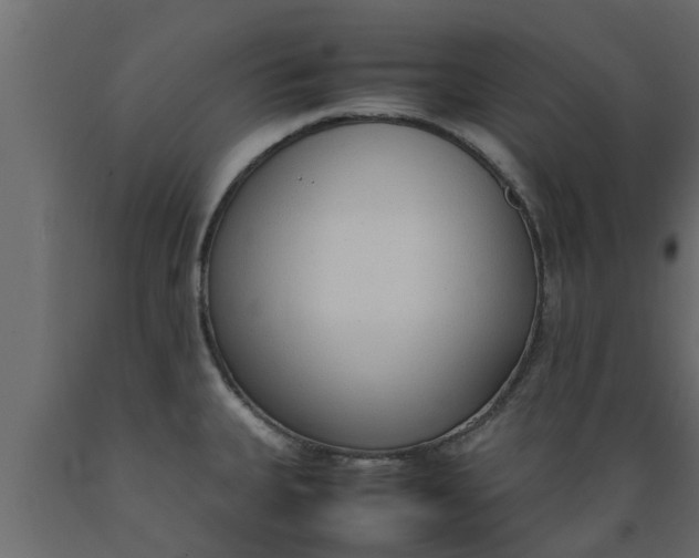 X0000089461335200707061255