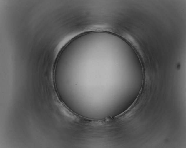 X0000089461336200707061255