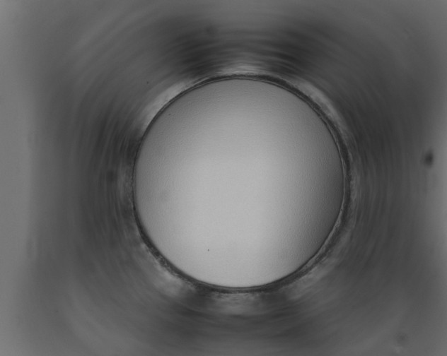 X0000089461337200707061255