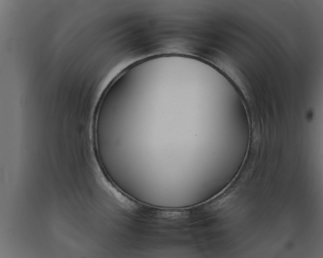 X0000089461339200707061255