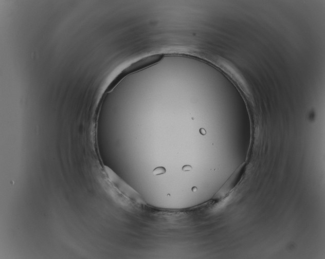 X0000089461340200707061255