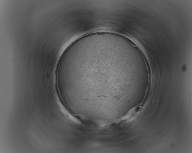 X0000089461341200707061255