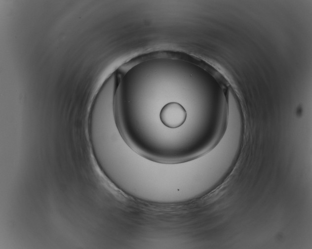 X0000089461342200707061255
