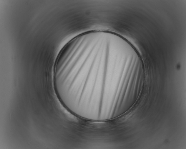 X0000089461343200707061255