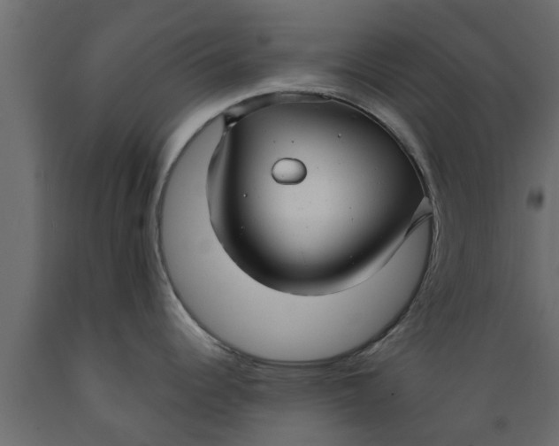X0000089461344200707061255