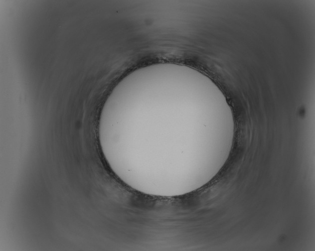 X0000089461345200707061254