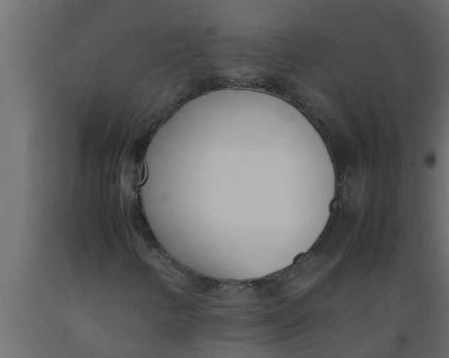 X0000089461346200707061254