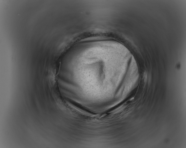 X0000089461348200707061254