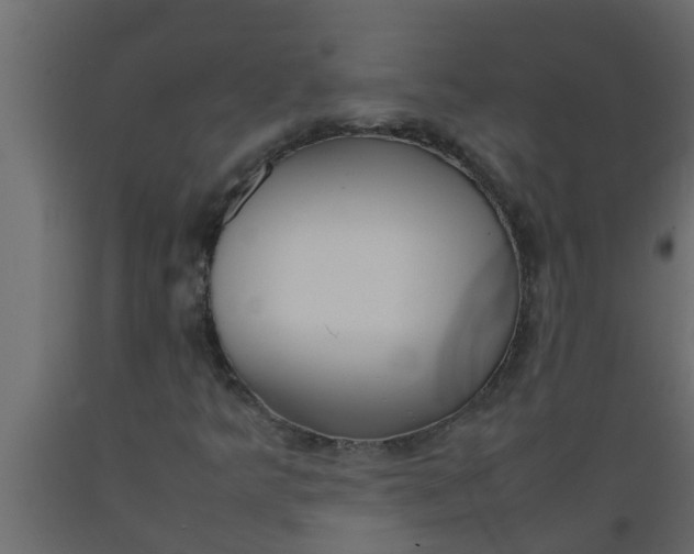 X0000089461349200707061254