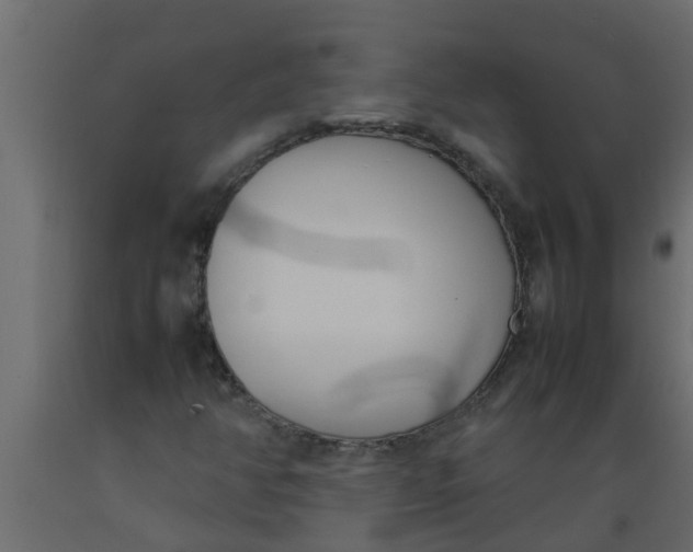 X0000089461350200707061254