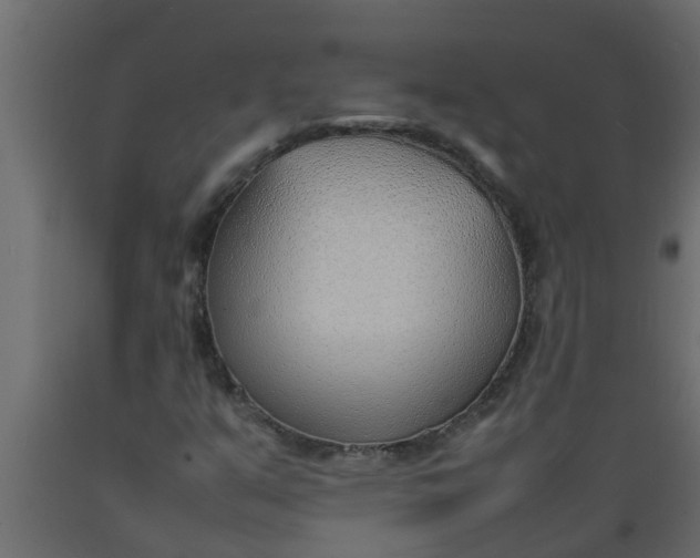 X0000089461351200707061254