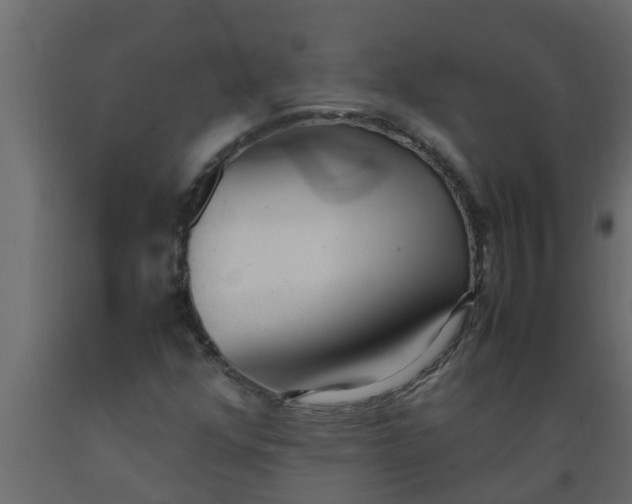 X0000089461352200707061254