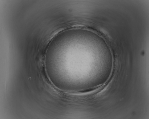 X0000089461353200707061254