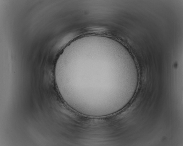 X0000089461354200707061254