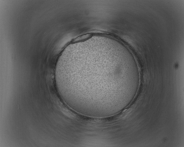 X0000089461355200707061254