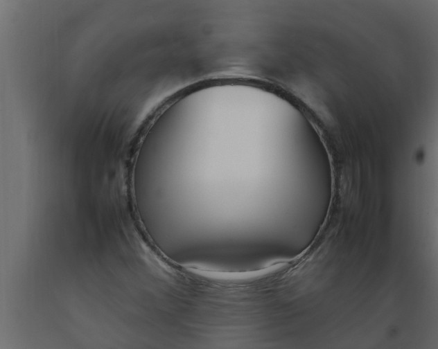 X0000089461356200707061254