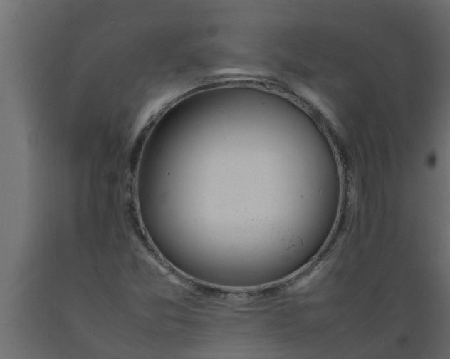 X0000089461357200707061254
