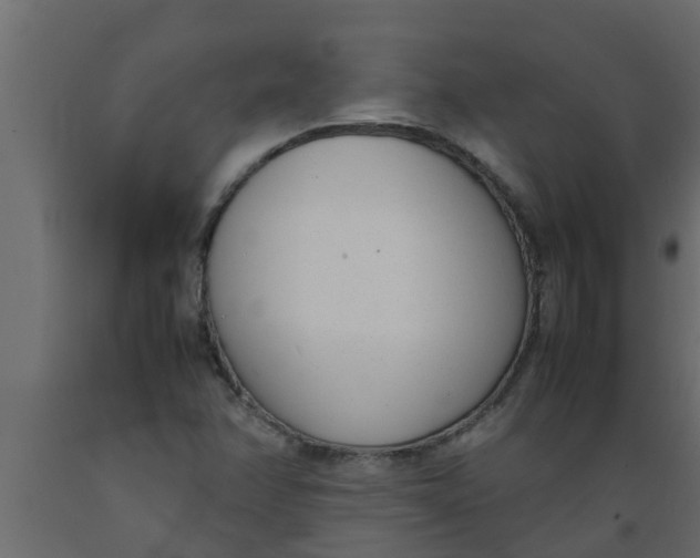 X0000089461358200707061254