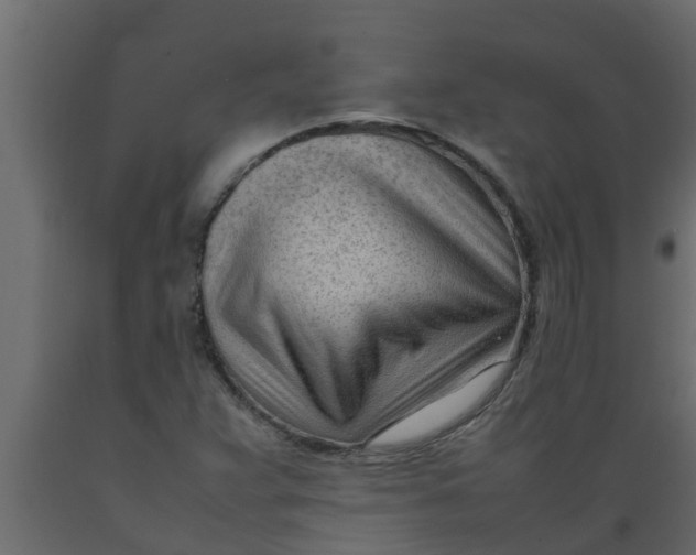 X0000089461359200707061254