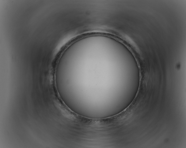 X0000089461360200707061254