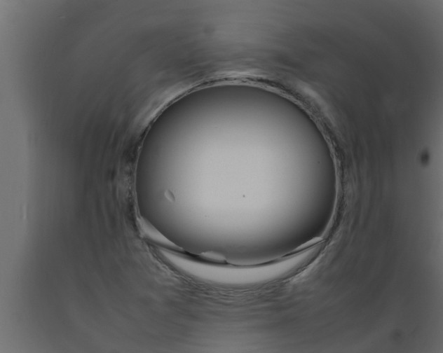 X0000089461361200707061254