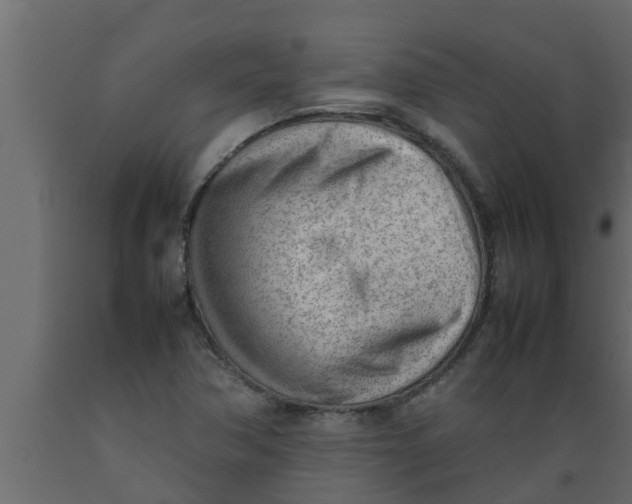 X0000089461362200707061254