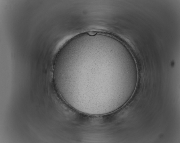X0000089461363200707061254