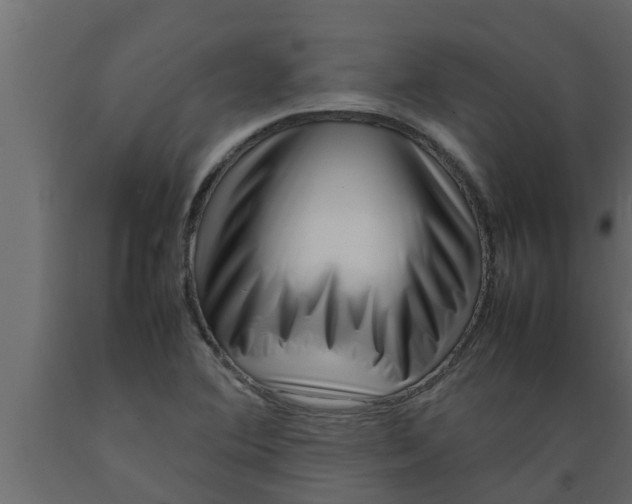 X0000089461364200707061254