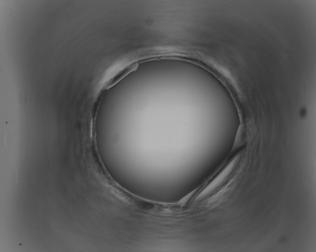 X0000089461365200707061254