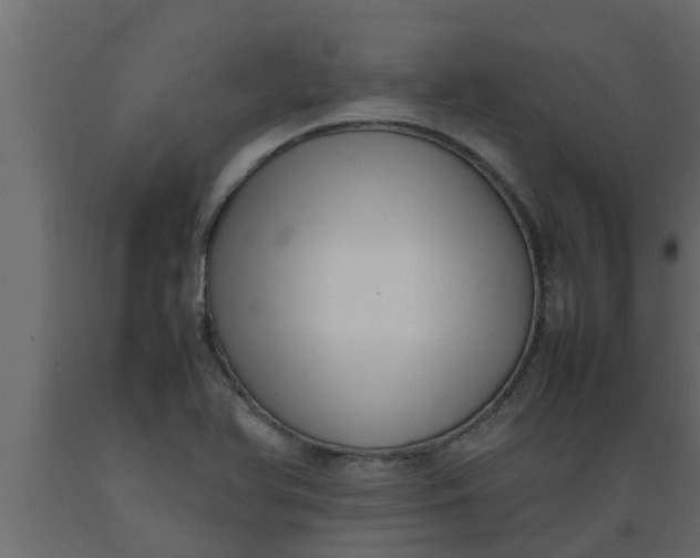 X0000089461366200707061254