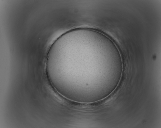 X0000089461367200707061254