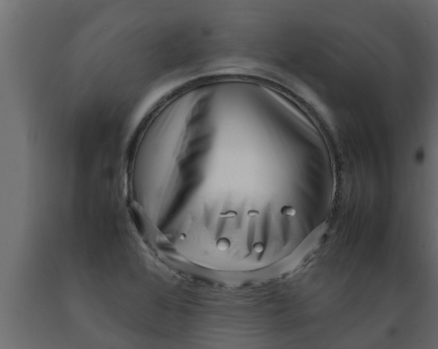 X0000089461368200707061254