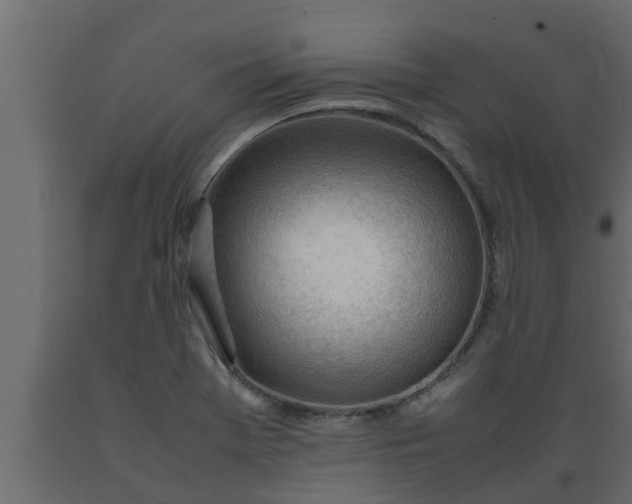 X0000089461369200707061254