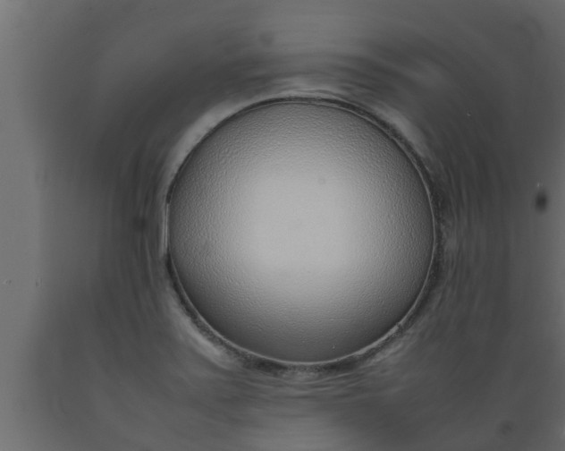 X0000089461371200707061254