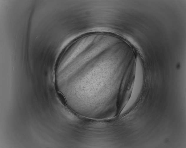X0000089461372200707061254