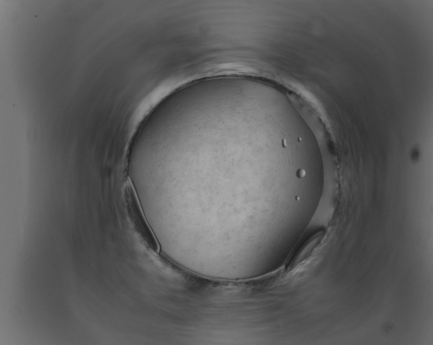 X0000089461373200707061254