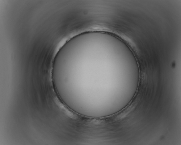 X0000089461374200707061254