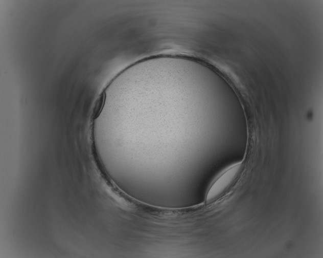 X0000089461375200707061254