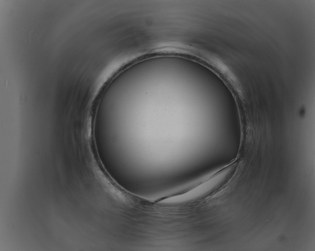 X0000089461376200707061254