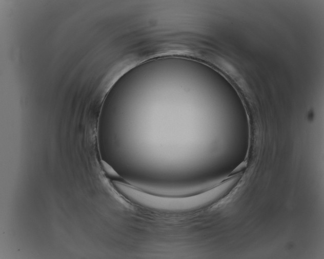 X0000089461377200707061254
