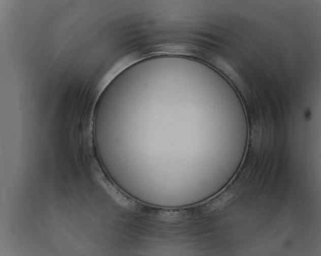 X0000089461378200707061254