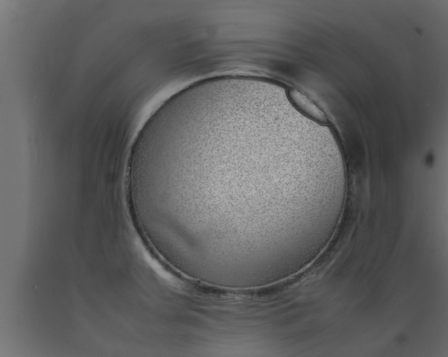 X0000089461379200707061254