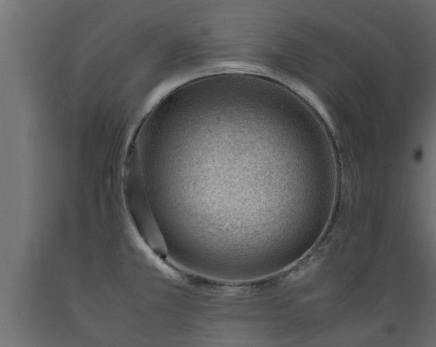 X0000089461381200707061254