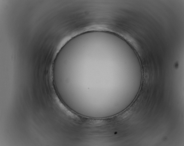 X0000089461382200707061254