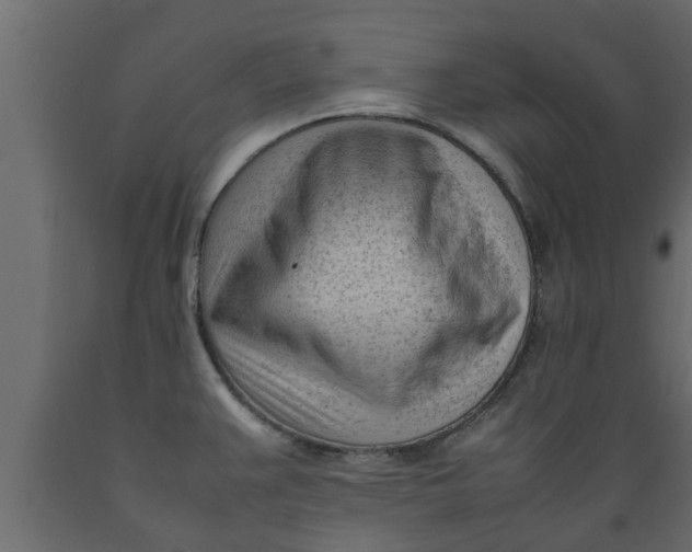X0000089461383200707061254