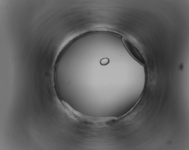 X0000089461384200707061254