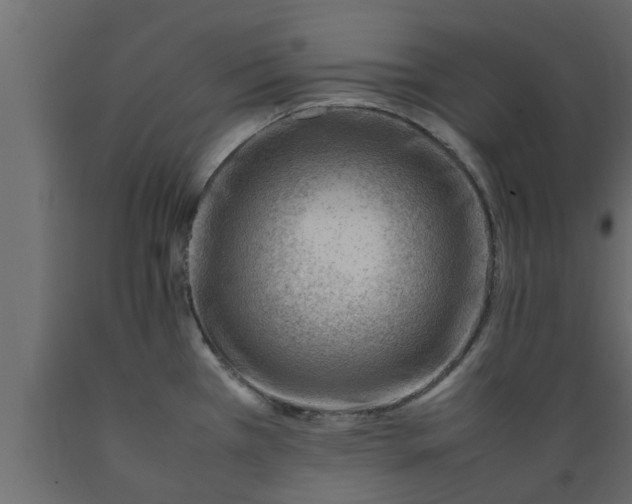 X0000089461385200707061254