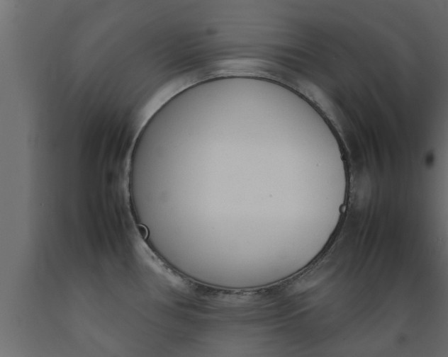 X0000089461386200707061254